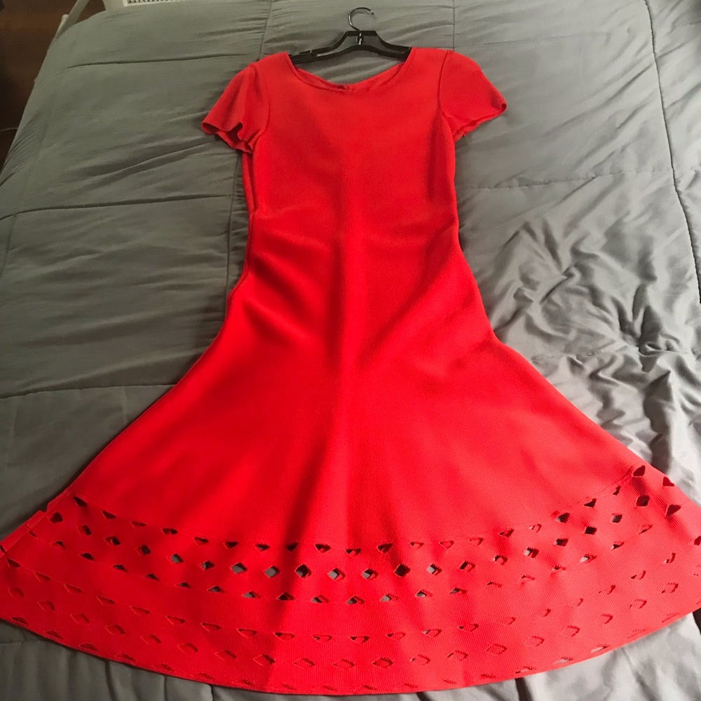 St. John’s Knit